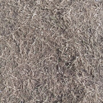 Completely dried out dead brown grass ground texture top down view showing severe heat damage and total lack of moisture