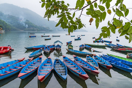 View of colorful wooden boats moored on the calm waters of Phewa Lake with green hills in the background in Pokhara, Gandaki Province, Nepal.