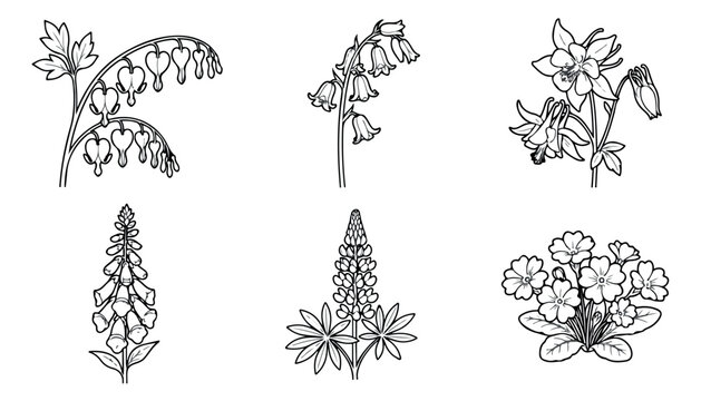Vintage botanical line art collection, 6 hand drawn wildflower vector illustrations, black and white floral sketches for wedding invitations and branding