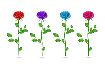 Naklejka premium Colorful Roses on Transparent Background for Graphic Design