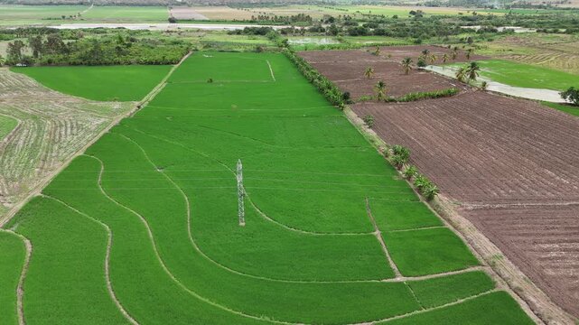 Aerial of bright green agricultural fields and high voltage tower