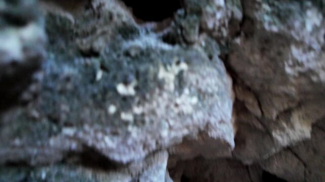 Xemxija, Malta 29.07.2026 - Heritage trail, Roman Baths, shelf like cut in the stone Dark cave walls show rough, textured surfaces. Greenish moss grows on damp, uneven stone. Light filters through nar