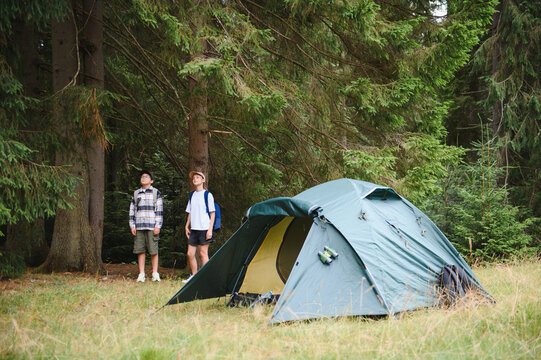 Two boys looking up at tall forest trees while camping