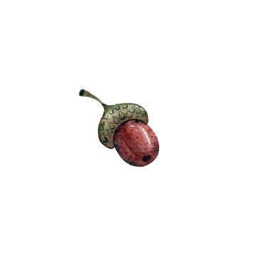 Acorn Clipart Hand-painted watercolor acorn with a textured green cap and warm brown nut. Perfect for autumn and fall designs, woodland illustrations, seasonal decorations, stickers, scrapbooking
