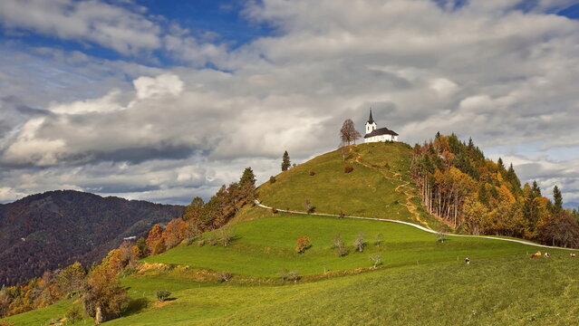 St.Jacob hilltop church sunlit under the midday sky in Brezovica pri Medvodah village, cows quietly grazing in the pasture below. Medvode-Slovenia-188
