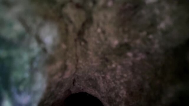 Xemxija, Malta 29.07.2026 - Heritage trail, Roman Baths, shelf like cut in the stone Dark cave walls show rough, textured surfaces. Greenish moss grows on damp, uneven stone. Light filters through nar