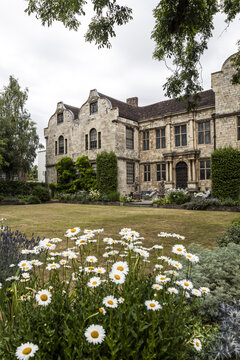 View of the historic stone facade of the Treasurer's House in York, featuring a well-manicured lawn and a vibrant foreground of white daisies, York, England, United Kingdom.