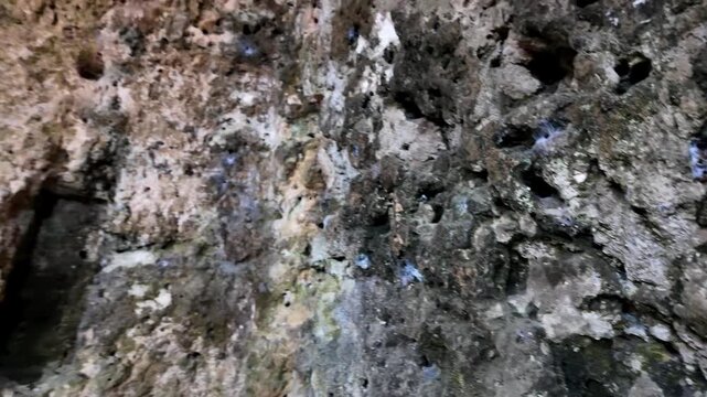 Xemxija, Malta 29.07.2026 - Heritage trail, Roman Baths, shelf like cut in the stone Dark cave walls show rough, textured surfaces. Greenish moss grows on damp, uneven stone. Light filters through nar