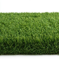 Fototapeta premium Fake green grass sits against white backgrounds for garden decor.