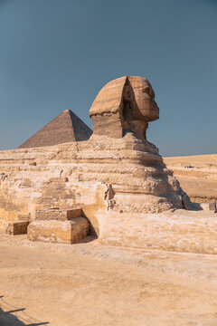 View of the Great Sphinx of Giza with the Great Pyramid in the background under a clear blue sky in Al Haram, Giza Governorate, Egypt.