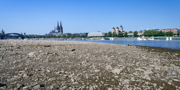 Rhine panorama in Cologne during extreme low water in 2026, showing the dry gravel bed, riverboats, St. Kunibert church and the cathedral.