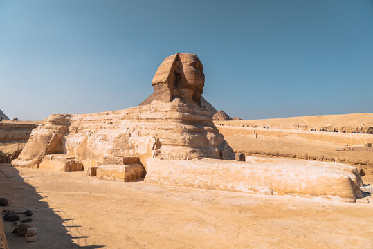 View of the Great Sphinx of Giza under a clear blue sky in the desert at Al Haram, Giza Governorate, Egypt.