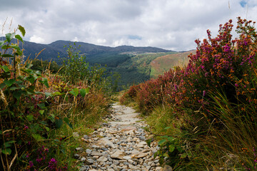 Mountian trail between Llyn Crafnant and Llyn Geirionydd Gwydir Forest Betws Y Coed © Andy