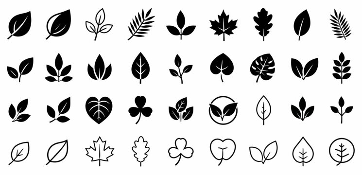 Leaf silhouettes, vector collection, diverse leaves shapes, nature elements. Ideal for eco friendly brand aesthetics, botanical illustrations, educational