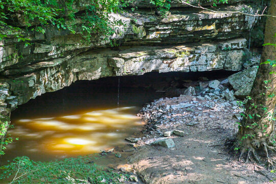 cave in the forest