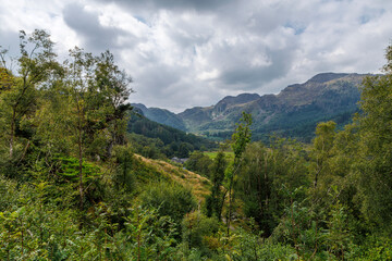 Obraz premium Mountian trail between Llyn Crafnant and Llyn Geirionydd Gwydir Forest Betws Y Coed