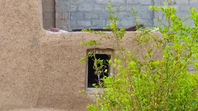 Traditional mud house exterior. Rustic clay wall structure with a small window.