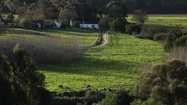 farm land at sunset, Klein mountains in background,  Stanford, South Africa