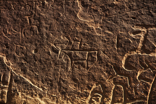 View of ancient rock carvings featuring animal figures and symbols etched into the weathered stone surface of the Kirthar mountain range in Johi, Sindh, Pakistan.
