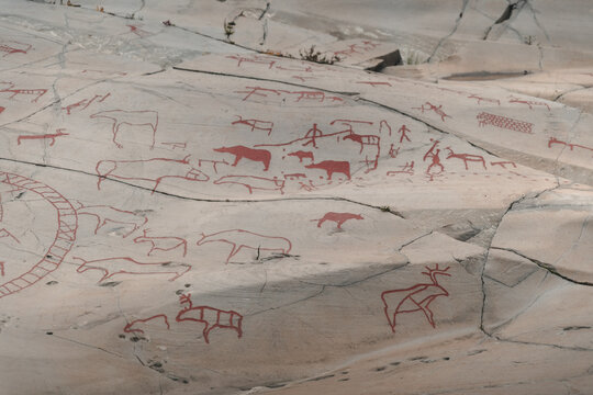 View of ancient rock carvings depicting animals and human figures on a smooth stone surface at the Alta Museum - World Heritage Center for Rock Carvings in Alta, Finnmark, Norway.