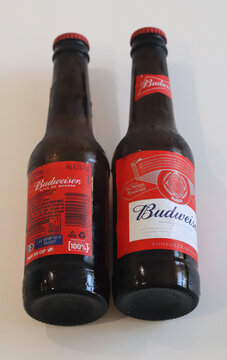 Norwich, United Kingdom &ndash; June 8, 2026: Everyday retail and consumer life Two budweiser beer bottles standing upright on a white surface with a plain background