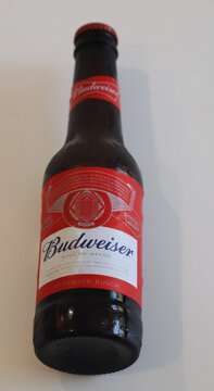 Norwich, United Kingdom &ndash; June 8, 2026: Everyday retail and consumer life Close up of a budweiser beer bottle with red white label against plain background