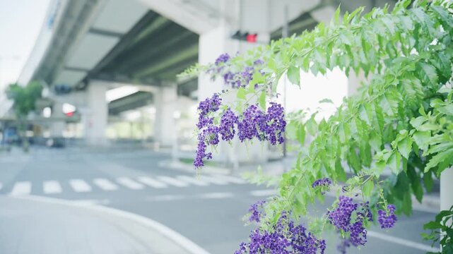 Purple flower clusters framing a blurred crosswalk under an overpass