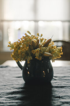 Laane County, Estonia - 17 May 2024: View of a small dark ceramic pitcher filled with yellow cowslip flowers resting on a dark textured tablecloth in Vormsi.
