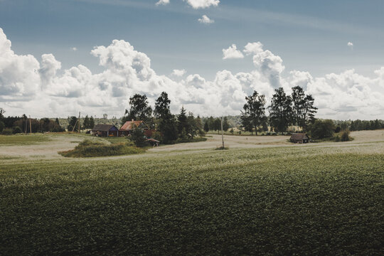 View of a rural landscape with small wooden houses, lush green fields, and tall trees under a blue sky with fluffy clouds in Rezekne, Latvia.
