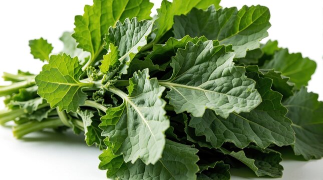 Fresh bathua leaves, Chenopodium album, gathered for winter dishes. This vibrant green vegetable offers healthy nourishment and culinary uses in salads and recipes.