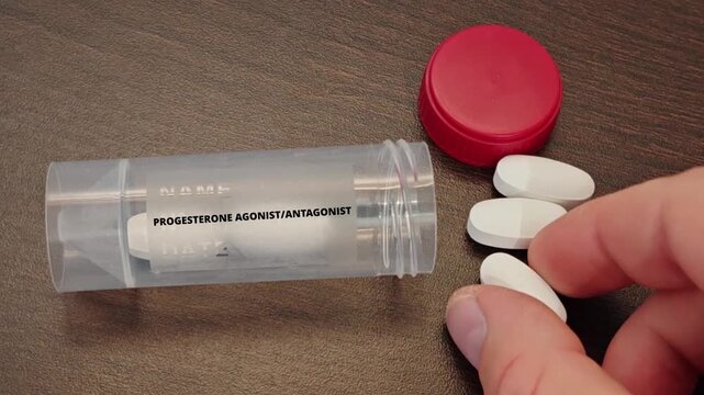 PROGESTERONE AGONIST ANTAGONIST tablet taken by a patient