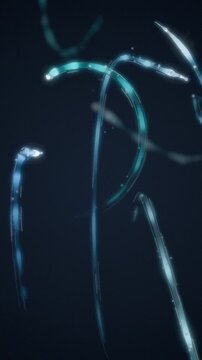 Athletic Motion Trails Sweeping Light Streaks with Strobe Afterimages Seamless Loop in deep cyan tones vertical 9:16