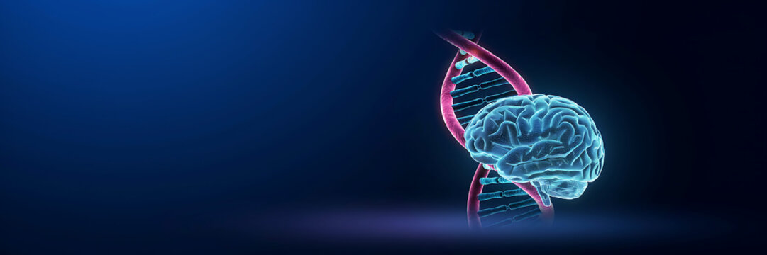 Glowing blue human brain model positioned next to a red and blue dna double helix structure against a dark blue gradient background space