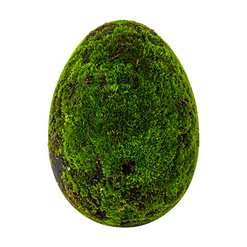 Mossy egg shape covered in vibrant green forest vegetation with detailed organic textures and natural plant growth&nbsp;