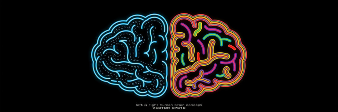 Neon outline of a human brain split into two styles with a blue maze pattern on the left and colorful rainbow lines on the right side