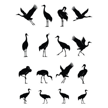 Crane bird silhouette vector icon set, black flying and standing crane, heron, stork, flamingo poses isolated on white background