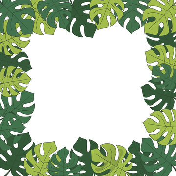 Monstera Leaf Frame border