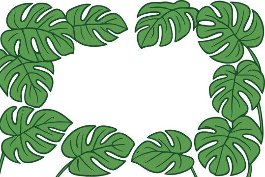 Monstera Leaf Frame border