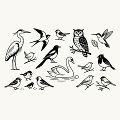 Fototapeta premium Collection of various bird silhouettes in black ink style.