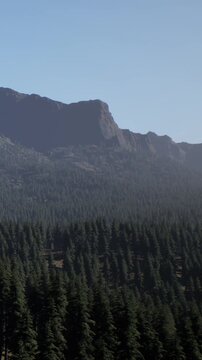 Tall mountains stand in the background with green trees in the foreground. The sky is clear and blue on this sunny day. Nature fills the scene with depth and beauty.