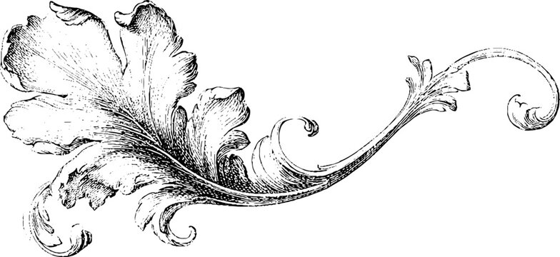 Vintage engraved acanthus leaf scroll ornament pattern for ornamental border and decorative background design