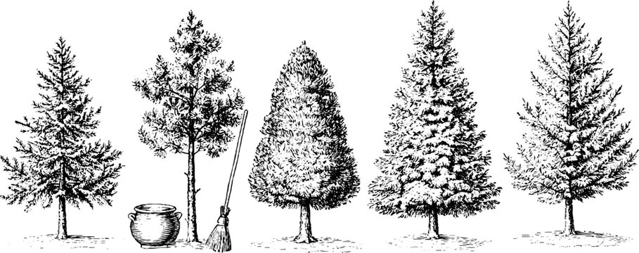 Engraved vintage halloween conifer trees with cauldron and broom for seasonal background and banner design