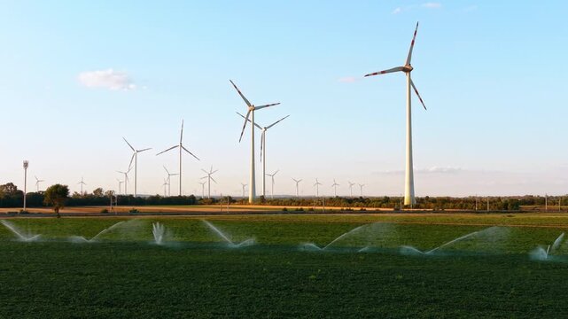 Water sprinklers irrigating a green crop field near wind turbines. Sprays of water arches across dense vegetation with multiple clean energy windmills under a clear pale sky.