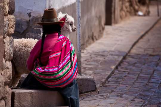Local Peruvian woman in traditional dress with baby alpaca in Cusco street
