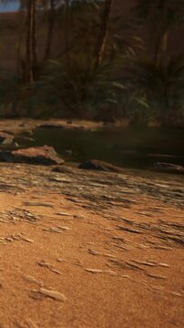 Footprints are seen on sand close to a body of water in a desert area. Plants are nearby as the sun sets, creating a warm atmosphere. Evening light highlights the scene.