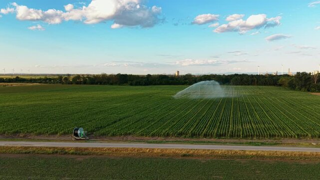 Aerial view of a water sprinkler system irrigating a green field. High angle perspective shows straight rows of agricultural crops next to a narrow road under a blue sky.