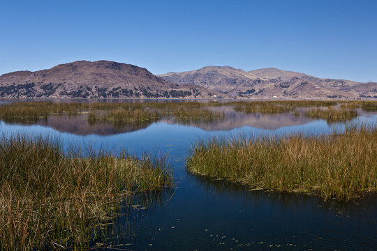 Beautiful scenic view of Lake Titicaca with totora reeds and mountains Peru
