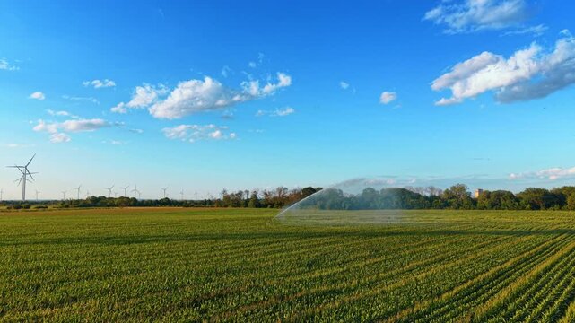 Water sprinkler irrigating a green field with distant wind turbines. An automated agricultural irrigation system sprays water over rows of crops under a bright blue sky.
