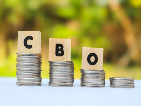 Wooden blocks spelling CBO (Chief Business Officer) with a wooden peg figure on stacked coins, representing corporate growth.