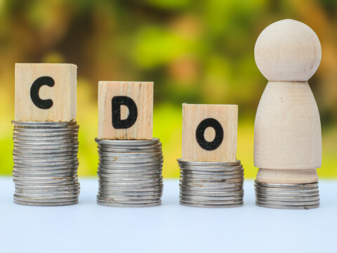 Wooden blocks spelling CDO (Chief Data Officer) with a wooden peg figure on stacked coins, illustrating executive leadership.